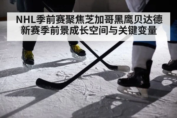 NHL季前赛聚焦芝加哥黑鹰贝达德新赛季前景成长空间与关键变量